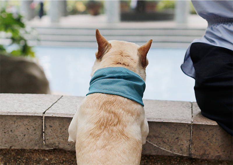 ArcticPaw Instant-Cool Pet Bandana - product photo 3