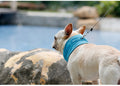ArcticPaw Instant-Cool Pet Bandana - product photo 1