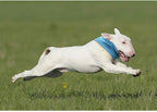 ArcticPaw Instant-Cool Pet Bandana - product photo 2