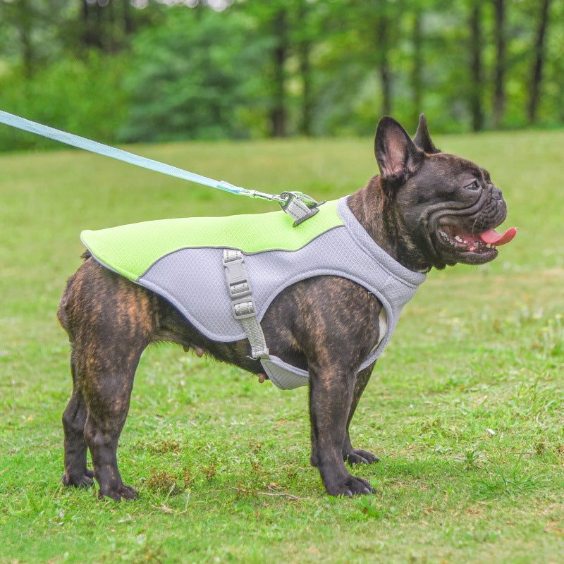 ArcticPaw Dog Cooling Vest - product photo 1