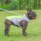 ArcticPaw Dog Cooling Vest - product photo 1