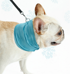 ArcticPaw Instant-Cool Pet Bandana - product photo 4