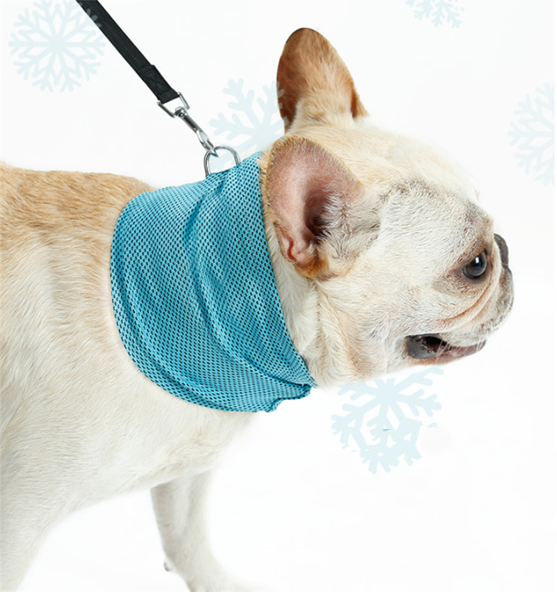 ArcticPaw Instant-Cool Pet Bandana - product photo 4