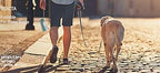 ArcticPaw Portable Dog Water Bottle - product photo 3