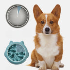 ArcticPaw No-Gulp Slow Feeder Bowl - product photo 7